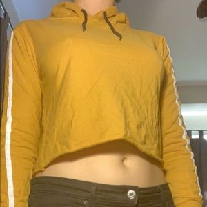 Mustard Yellow Crop Top Sweater with Hood